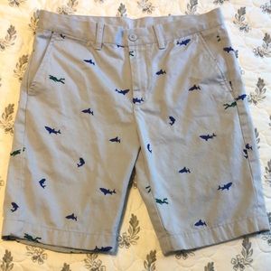 Youth J.Crew shorts